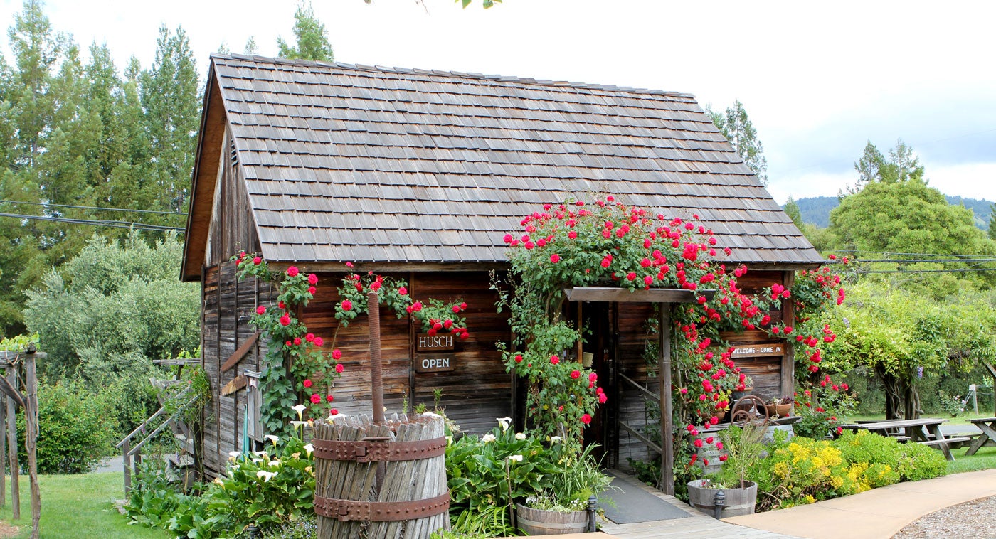                             Husch Vineyards, the valley’s oldest winery