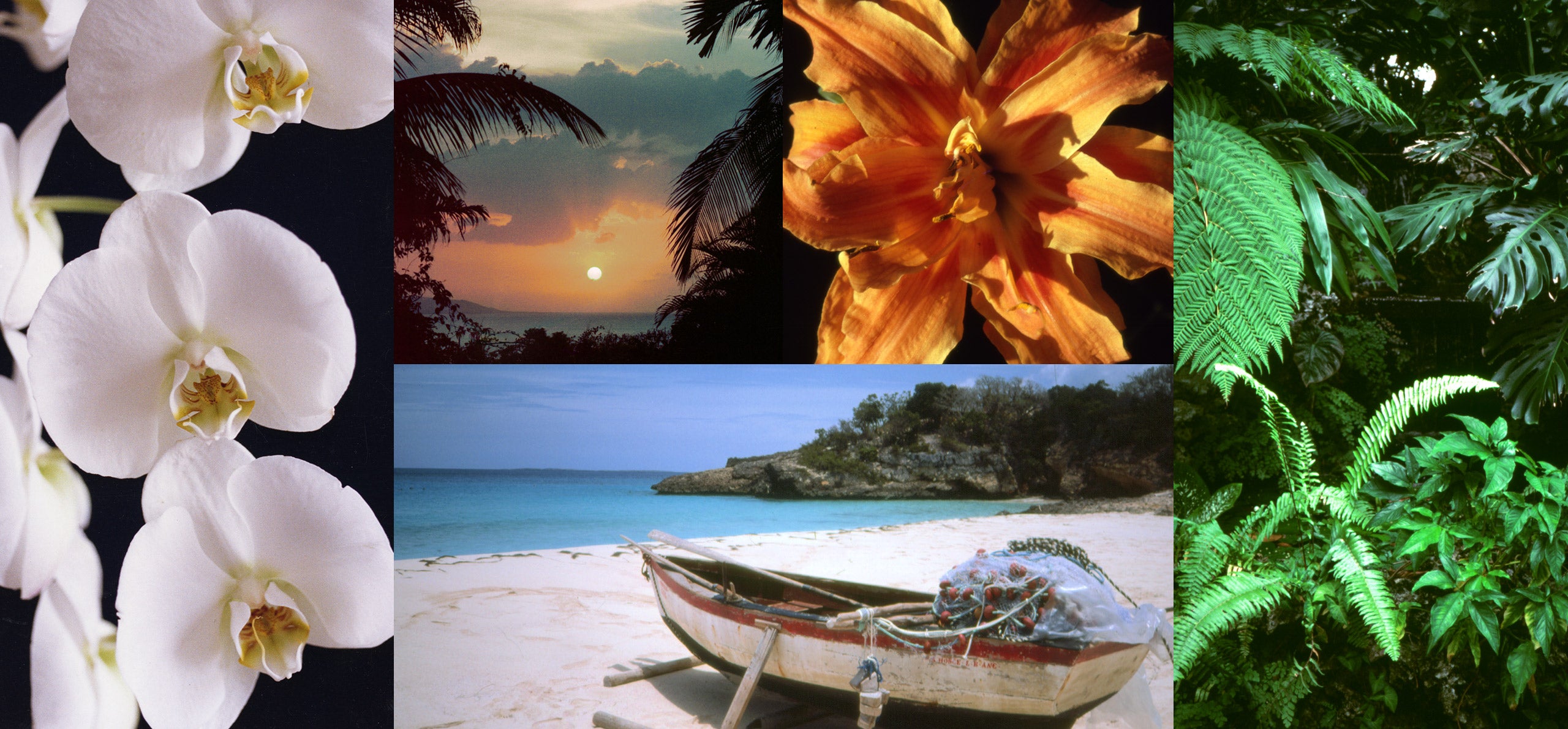                             Selections from Ricky Lauren’s 1994 book, <em>My Island</em>