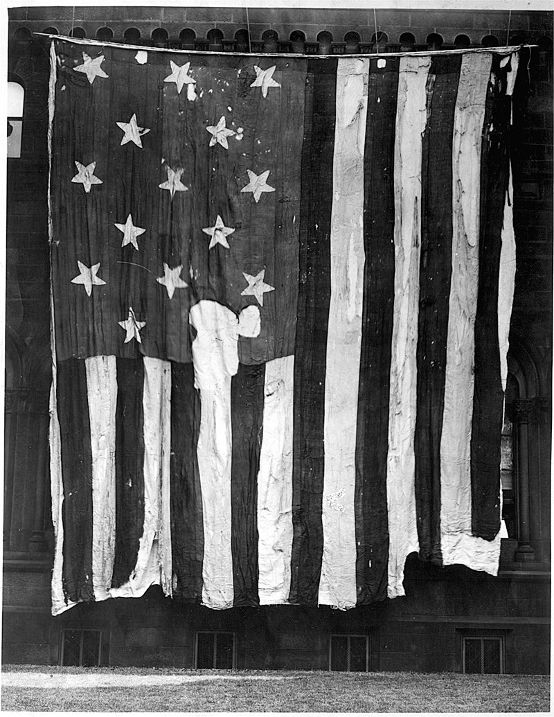 Star spangled banner skirt sale