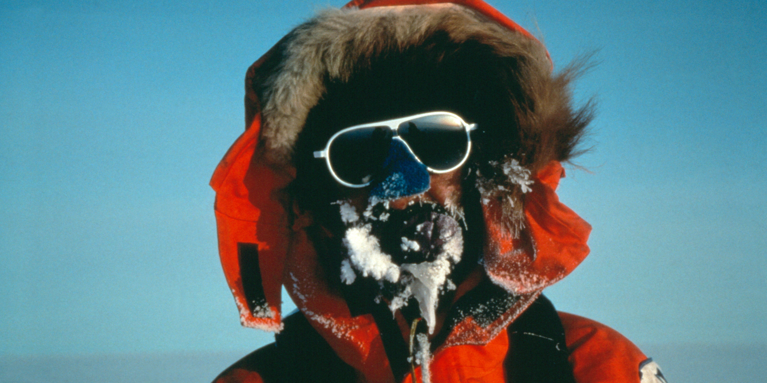 <strong>COLD WAR</strong><br/><span>Back to Antarctica in 1992</span>