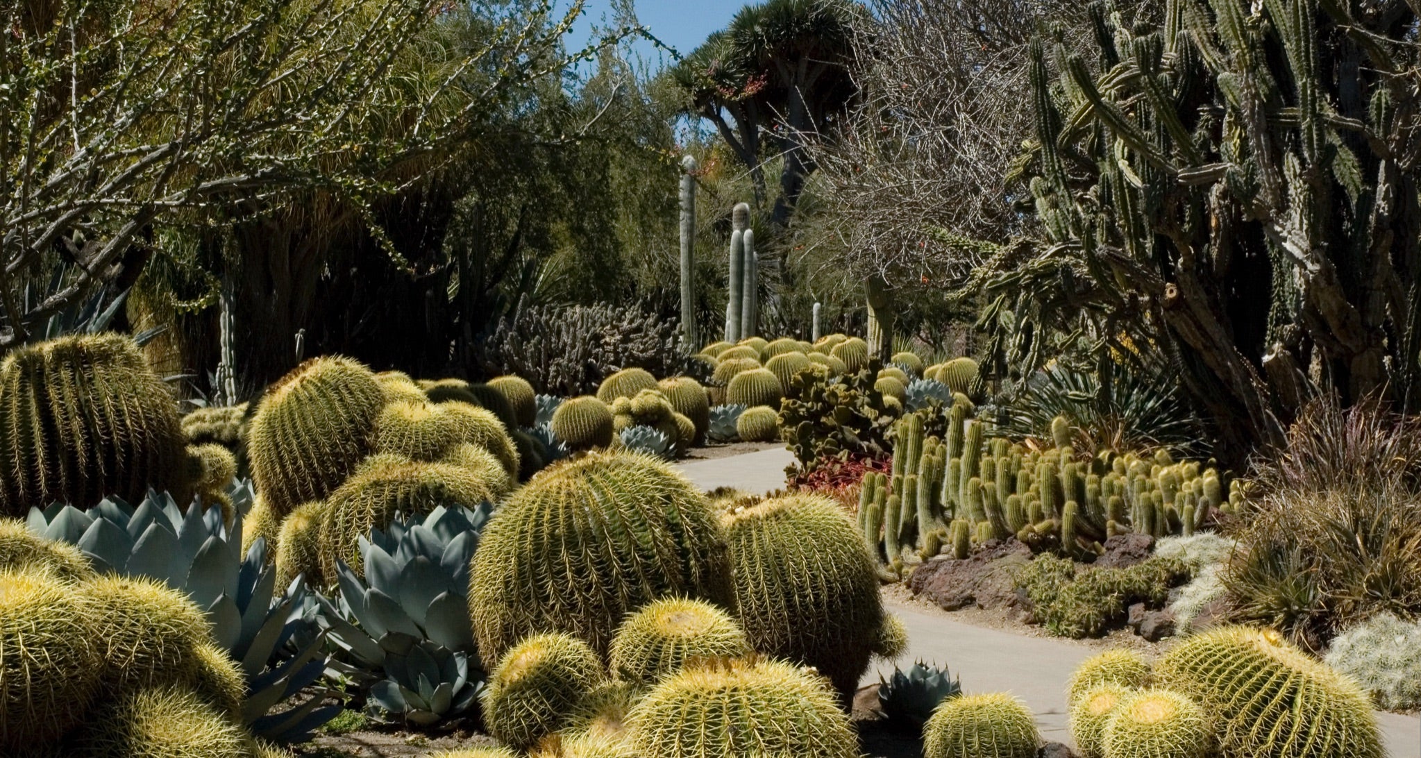 RL Mag Insider’s Guide The Huntington Library, Art Museum, and