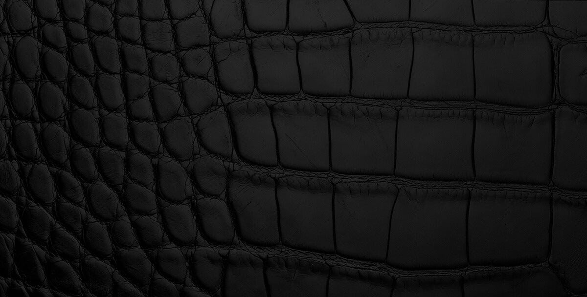 Detail shot of croc-embossed black leather
